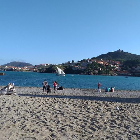 Studio Baie Azur Port Vendres Εξωτερικό φωτογραφία